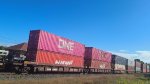 BNSF 239256 (5 Section Well Car Altogther)